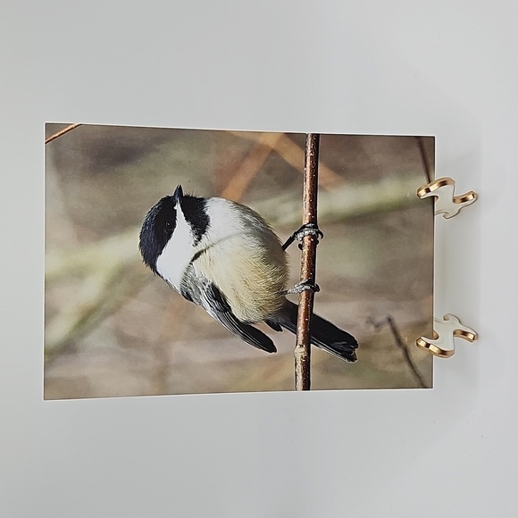 4x6 Chickadee Bird Oil Painting Print - Picture 1 of 5
